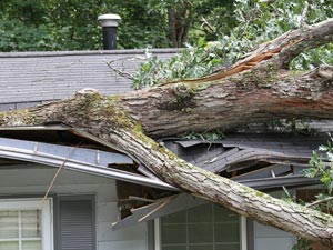 Storm Damage Restoration Vienna VA